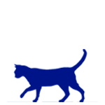 Small Cat Feeding Guide